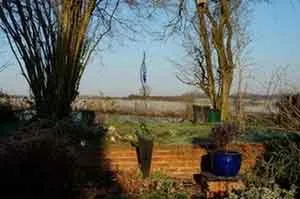 a view of garden sculptures