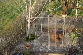 Easter gardening