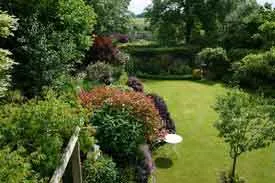 gardens love rain