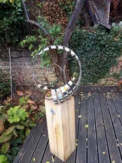 fern on oak plinth